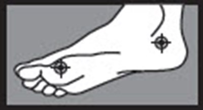 Figure 2 - antifungal 02