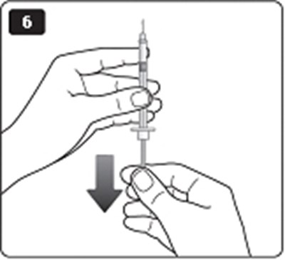Figure 6 (Aa947266 E27c 432b 8e04 C36168d24ddb 08)