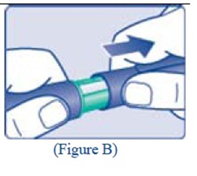 Step 1 Fig B.jpg (Aa947266 E27c 432b 8e04 C36168d24ddb 28)