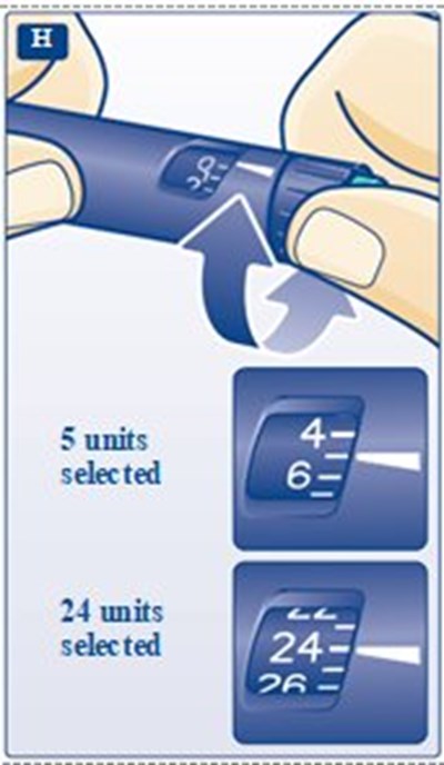 Fp H (Image 21)