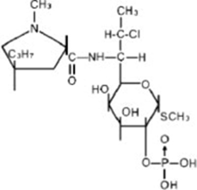 Structural Formula - cli04 0015 01