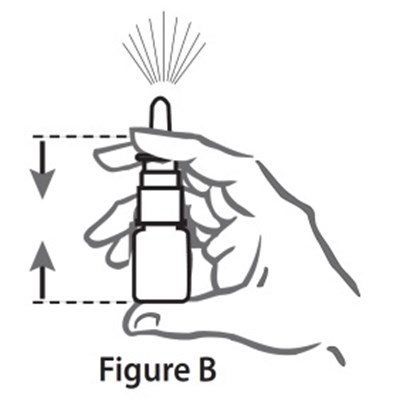Fig-2 (Triamcinolone Figure 2)