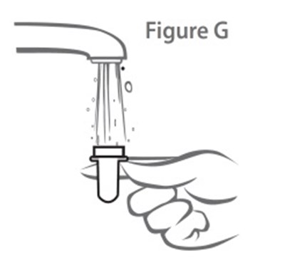 Figure G (Triamcinolone Figure 6)