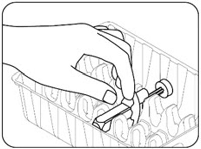 Figure B.1 (Zilbrysq 05)