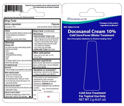 docosanol-fig3.jpg PACKAGE LABEL-PRINCIPAL DISPLAY PANEL - Tube Square Blister Card Label 10% (2 g Tube) - docosanol fig3