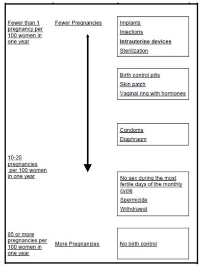 Pregnancy Chart (Image 06)