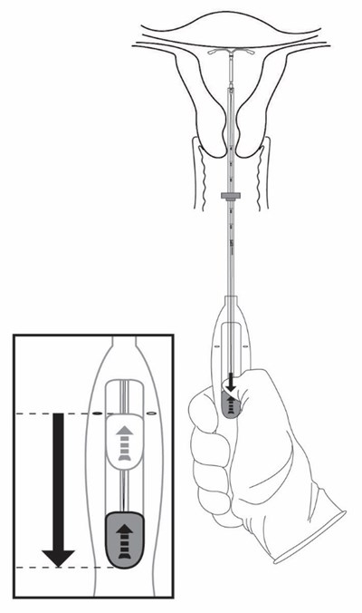 Image 13