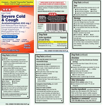 Acetaminophen 650 mg, Dextromethorphan Hbr 20 mg, Phenylephrine HCl 10 mg (Daytime Flu Relief Therapy Berry Liquid 1)