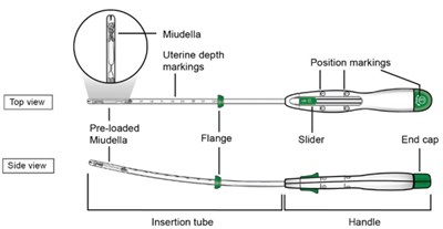 Figure D (Miudella 17)