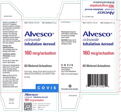 image-15.jpg Principal Display Panel - 160 mcg Carton - image 15