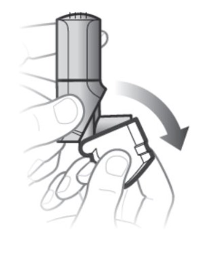 Figure D (Image 8)