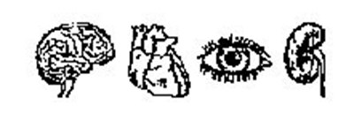This Is The Brain And Eye (Minoxidil 3)