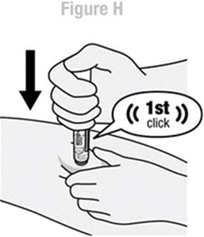 Pen Instructions for Use Figure H - image 11