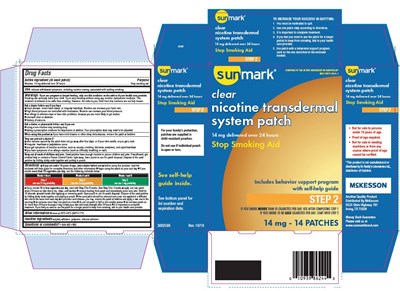nicotine-transdermal-system-two-carton.jpg - nicotine transdermal system two carton
