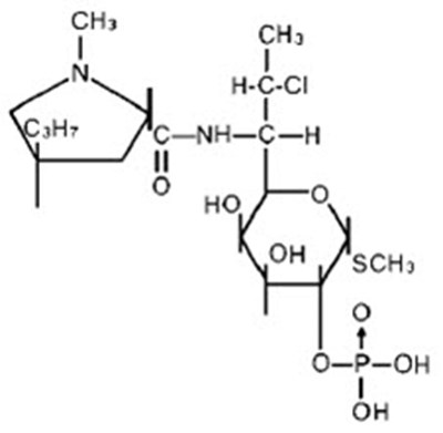Chemical Structure - cleocin 01