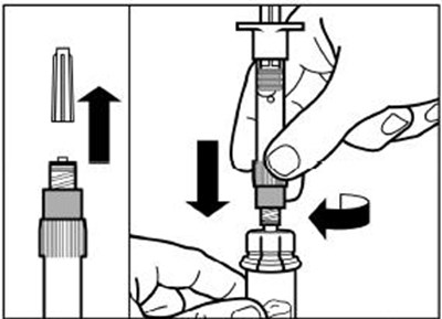Step 3 (Signiforlar 08)