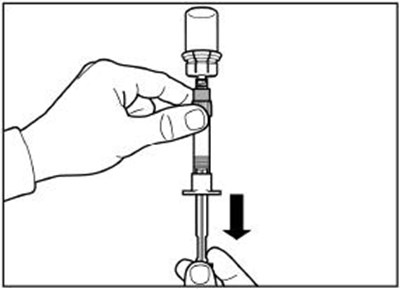 Step 5 (Signiforlar 11)