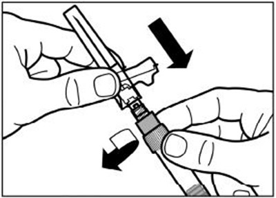 Step 6 (Signiforlar 13)