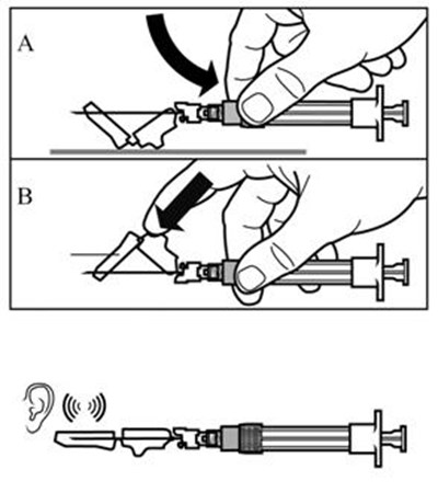 Step 8 (Signiforlar 16)