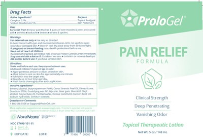 painrelief-01.jpg PRINCIPAL DISPLAY PANEL - 148 mL Bottle Label - painrelief 01