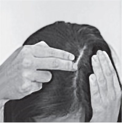 Figure-e.jpg (Image 06)