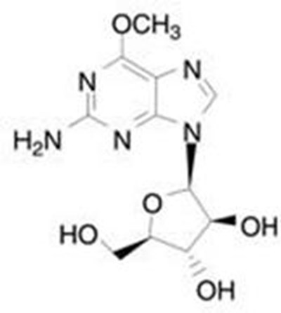 Image Description (Nelarabine Figure 01)