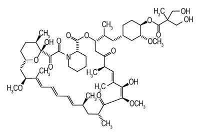 structure.jpg structure - structure