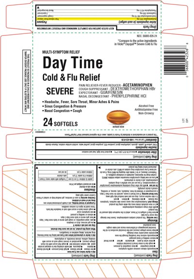 Principal Display Panel (24 Softgel Blister Pack Carton)