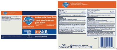 safeguard.jpg safeguard - safeguard