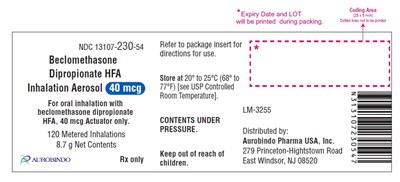 Package Label-principal Display Panel (40 mcg Inhalation Actuator Canister Label)