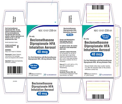 Package Label-principal Display Panel (40 mcg Inhalation Actuator Carton Label)