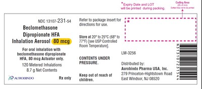 Package Label-principal Display Panel (80 mcg Inhalation Actuator Canister Label)