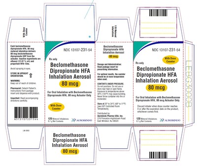 Package Label-principal Display Panel (80 mcg Inhalation Actuator Carton Label)