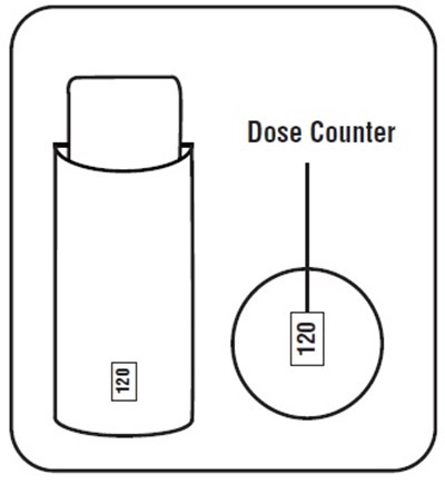 Beclomethasone-fig5.jpg (Beclomethasone Fig5)