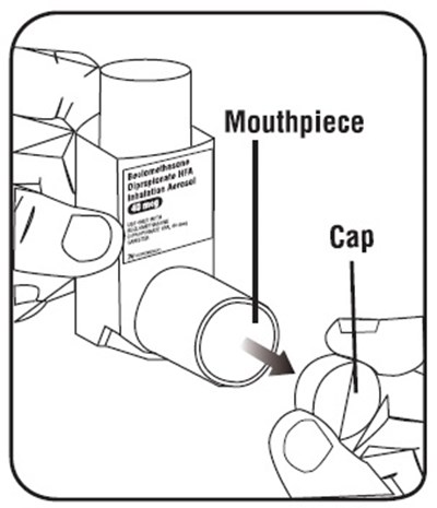 Beclomethasone-fig6.jpg (Beclomethasone Fig6)