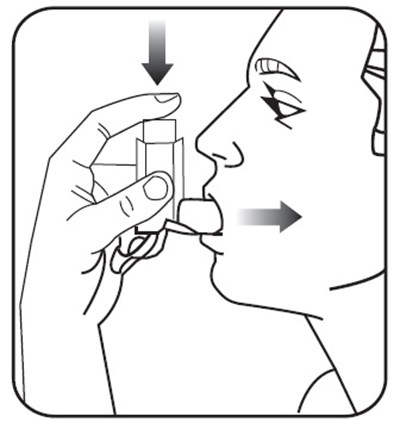 Beclomethasone-fig8.jpg (Beclomethasone Fig8)