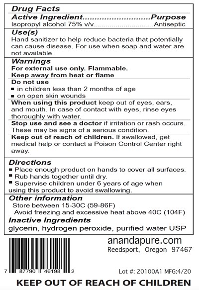 3780 mL Jug Back Label (Anandapure Sanitizer 3780ml Bl Ndc74733 002 06)