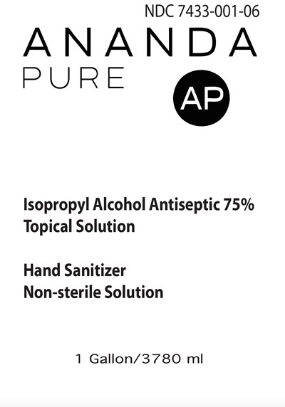 3780 mL Jug Front Label (Anandapure Sanitizer 3780ml Fl Ndc74733 002 06)