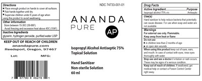60 mL Spray Label (Anandapure Sanitizer 60mlspray Ndc74733 002 01)