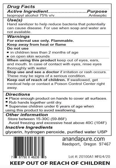9460 mL Jug Back Label (Anandapure Sanitizer 9460ml Bl Ndc74733 002 08)