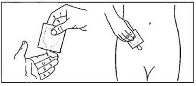 Step 4.2 (Gelnique Figure 05)