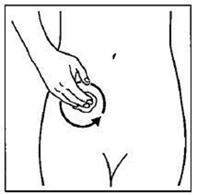 Step 5 (Gelnique Figure 06)