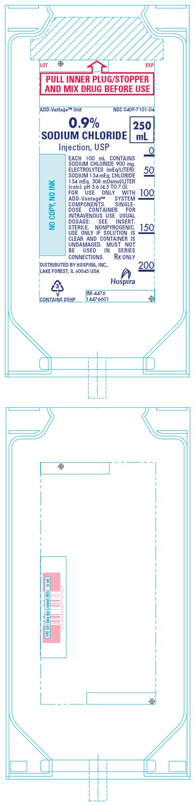 sodium-11.jpg PRINCIPAL DISPLAY PANEL - 250 mL Bag Label - NDC 0409-7101 - sodium 11