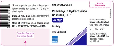 clindamycinhcl75mglabel.jpg 75 mg label - clindamycinhcl75mglabel