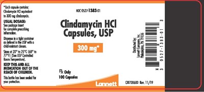 300 mg 100 Count (Clindamycin Hydrochloride Capsules Usp 4)