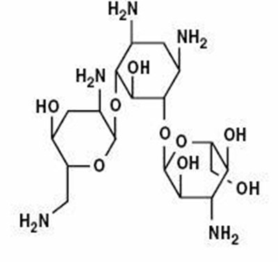 tobramycin-for-injection-usp-2.jpg C:\Documents and Settings\junem.X-GEN\Desktop\SPL Submissions\Tobramycin SPL\FDA Style sheet\01.jpg - tobramycin for injection usp 2