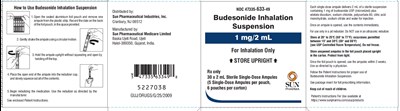 spl-budesonide-carton-3.jpg spl-budesonide-carton-3 - spl budesonide carton 3
