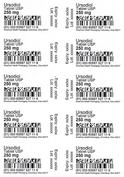 Blister.jpg 250 mg Ursodiol Tablet Blister - Blister