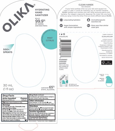 OLIKA_30mL_PACKAGE_010421_mint.jpg OLIKA 30mL PACKAGE 010421 mint