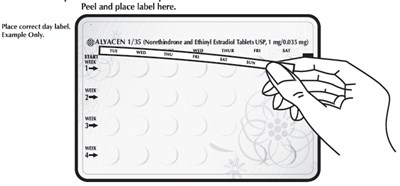 Dpl-image4 (Image 10)